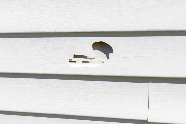 Best Hoarding Cleanup  in Jeanerette, LA