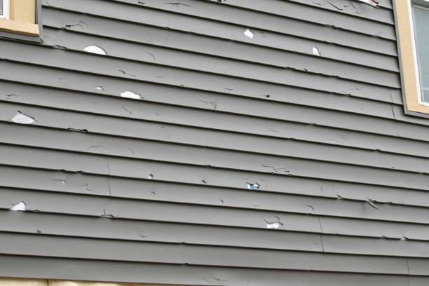 Trusted Jeanerette, LA Junk Removal Experts